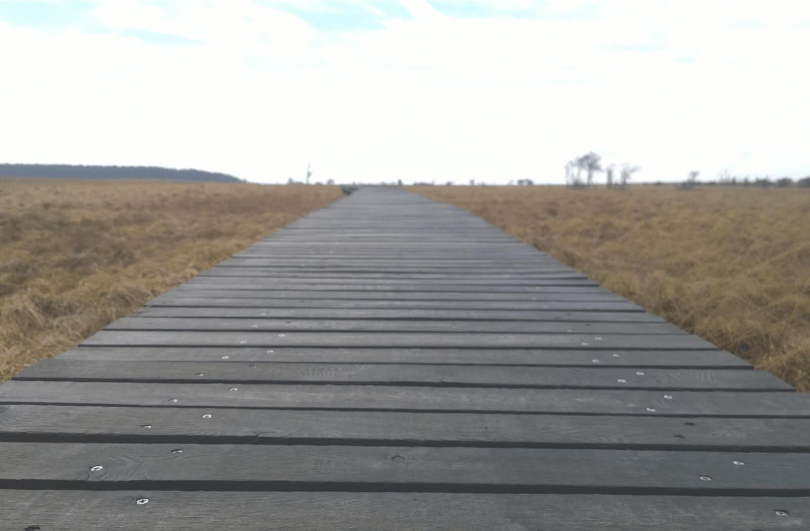 Chemin en caillebotis à travers une lande